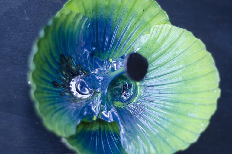 How to make shell flowers Kiwi Families