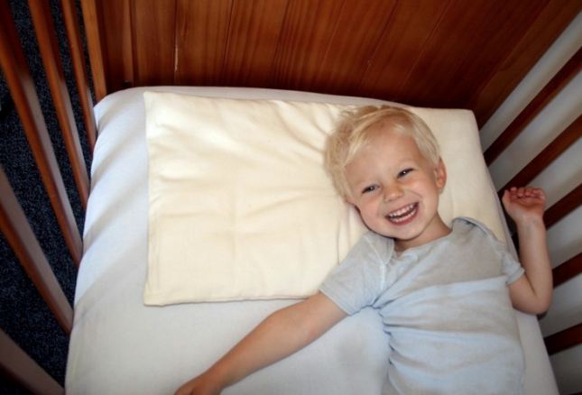 Natures Sway Toddler Pillow-Kiwi Families