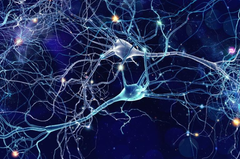 Memory and Stress, Depression and Worry Importance of Bonding With Your Baby-brain development