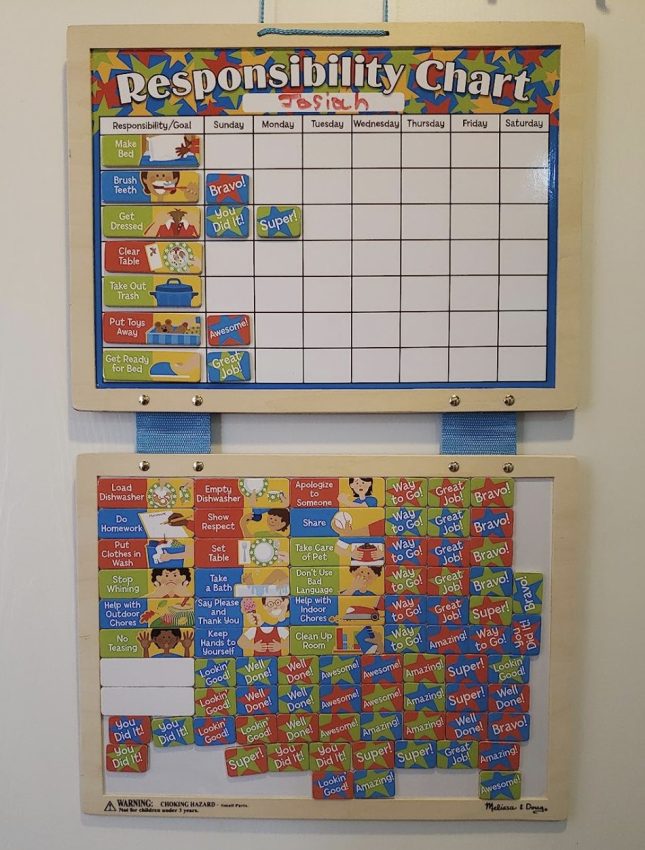 Homeschooled Child Motivated with a task board